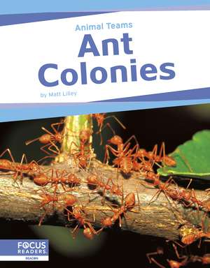 Ant Colonies de Matt Lilley