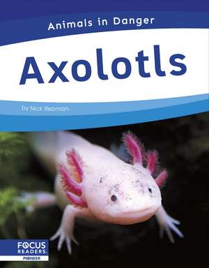 Axolotls de Nick Rebman