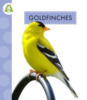 Goldfinches de Anastasia Suen