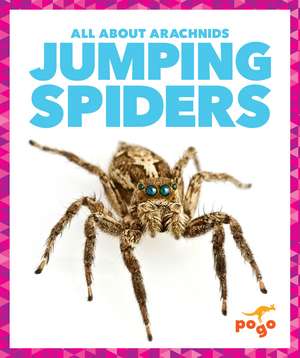 Jumping Spiders de Becca Becker