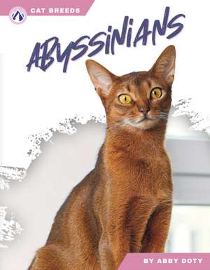 Abyssinians de Abby Doty