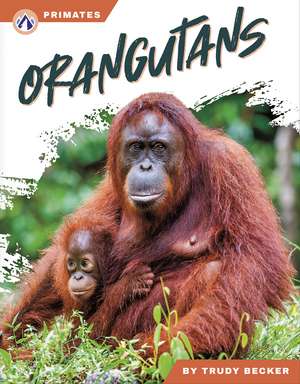 Orangutans de Trudy Becker