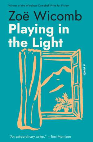 Playing in the Light de Zoë Wicomb