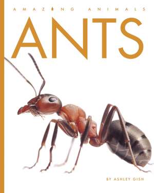 Ants de Ashley Gish