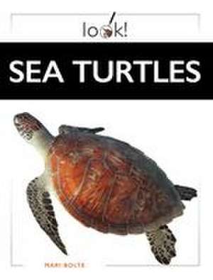 Sea Turtles de Mari Bolte