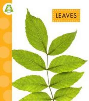 Leaves de Ana Brauer