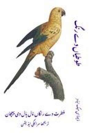 طوطیاں دے رنگ de David E. McAdams