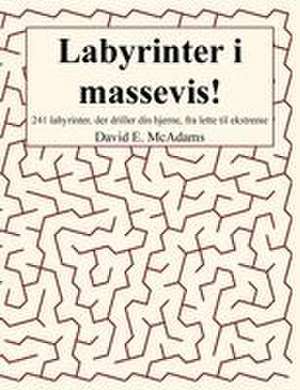 Labyrinter i massevis! de David E. McAdams
