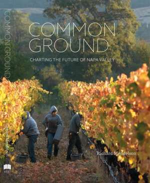 Common Ground de Richard Mendelson