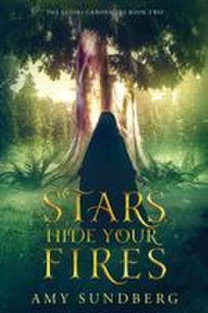 Stars, Hide Your Fires de Amy Sundberg