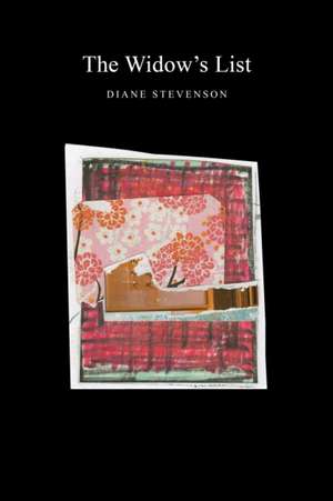 The Widow's List de Diane Stevenson