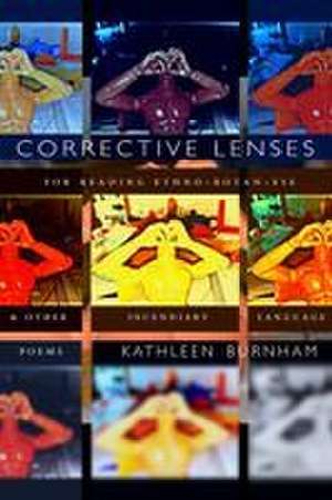 Burnham, K: Corrective Lenses