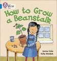 How to Grow a Beanstalk