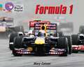 BIG CAT PROGRESS - FORMULA 1