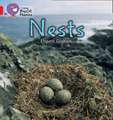 NESTS