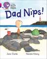 BIG CAT PHONICS_DAD NIPS