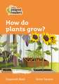 How do plants grow?