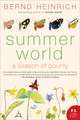 Summer World
