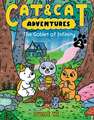 Cat & Cat Adventures