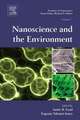 Nanoscience and the Environment