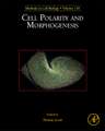 Cell Polarity and Morphogenesis