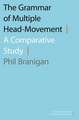 The Grammar of Multiple Head-Movement: A Comparative Study