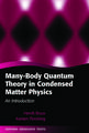 Many-Body Quantum Theory in Condensed Matter Physics: An Introduction