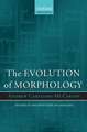 The Evolution of Morphology