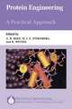 Protein Engineering: A Practical Approach