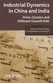 Industrial Dynamics in China and India: Firms, Clusters, and Different Growth Paths