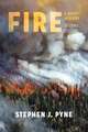 Fire – A Brief History