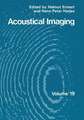 Acoustical Imaging