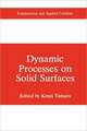 Dynamic Processes on Solid Surfaces