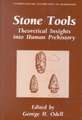 Stone Tools: Theoretical Insights into Human Prehistory