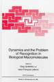 Dynamics and the Problem of Recognition in Biological Macromolecules