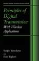 Principles of Digital Transmission: With Wireless Applications