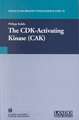 The CDK-Activating Kinase (CAK)