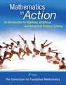 Math in Action: An Introduction to Algebraic, Graphical, and Numerical Problem Solving, Plus Mymathlab -- Access Card Package