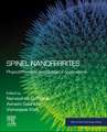 Spinel Nanoferrites: Physicochemical and Biological Applications