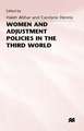 Women and Adjustment Policies in the Third World