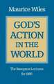 God's Action in the World