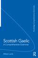 Scottish Gaelic: A Comprehensive Grammar