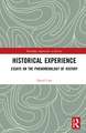 Historical Experience: Essays on the Phenomenology of History