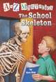 The School Skeleton