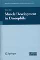 Muscle Development in Drosophilia