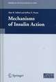 Mechanisms of Insulin Action