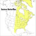 A Peterson Field Guide To Eastern Butterflies