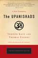 The Upanishads: A New Translation by Vernon Katz and Thomas Egenes