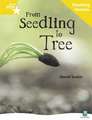 Rigby Star Non-fiction Guided Reading Yellow Level: From Seedling to Tree Teaching Version