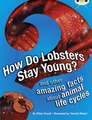 Bug Club Independent Non Fiction Year 3 Brown A How Do Lobsters Stay Young?